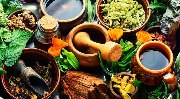 ayurveda-treatments ayurveda treatment