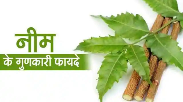 नीम के आयुर्वेदिक फायदे | त्वचा, बाल और स्वास्थ्य के लिए संपूर्ण औषधि